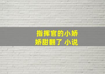 指挥官的小娇娇甜翻了 小说